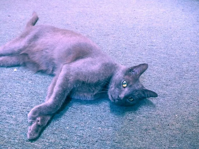 This Weirdo!