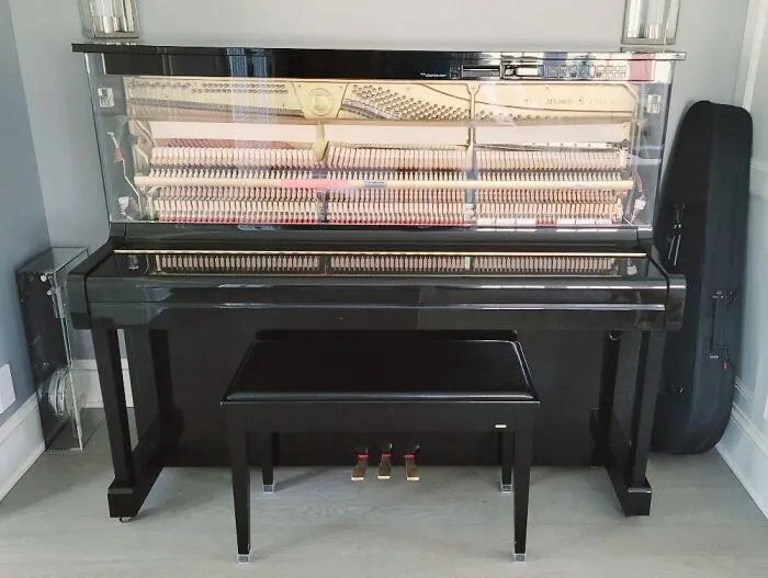 We Have An Absurd Amount Of Instruments But This Is The Gem. Player Piano, It Plays Any Song