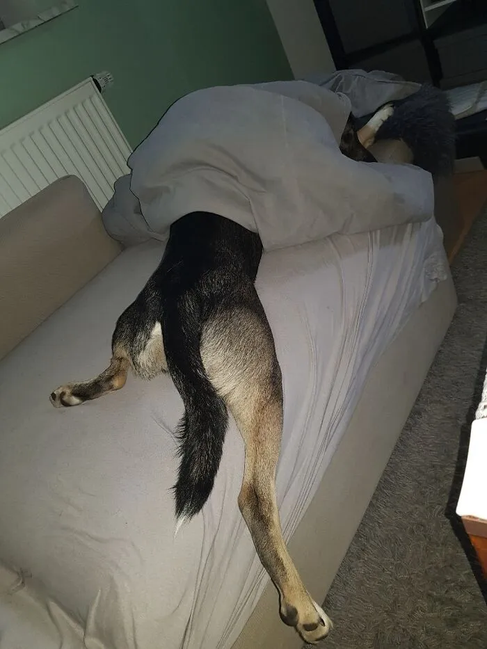 Cuando la mañana llega demasiaaaado pronto