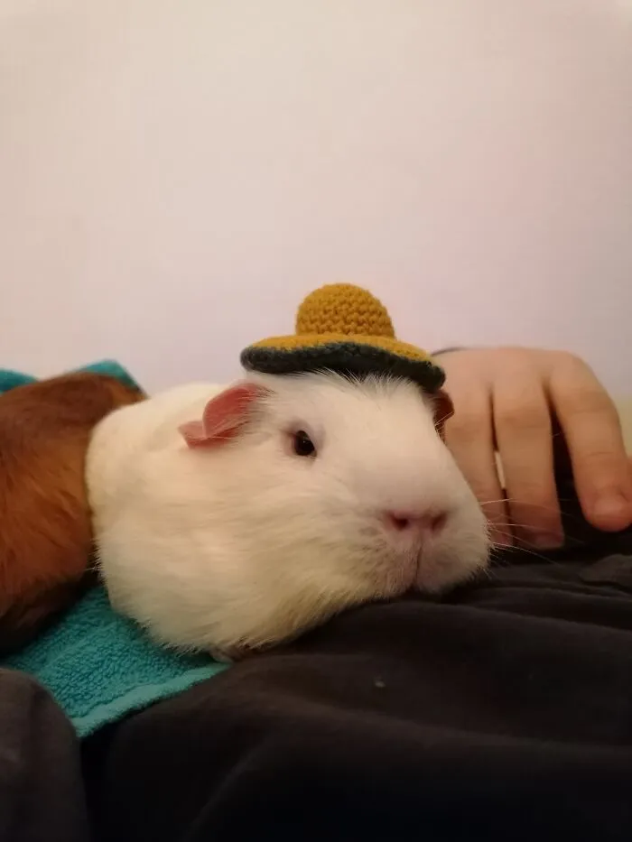 Mogens, Wearing His Sunday Hat