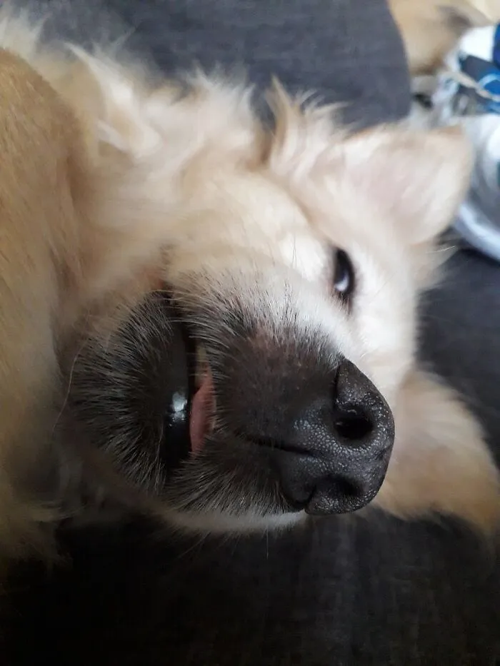 Blep