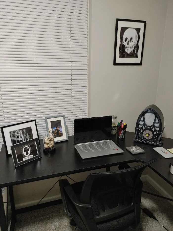 My Home Office Is Also My Collectibles Room