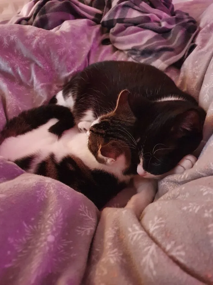 My Two Ladies Looking After Me When I Was Having A Bad Day.