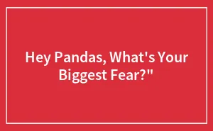 Hey Pandas, What's Your Biggest Fear?