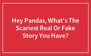 Hey Pandas, What's The Scariest Real Or Fake Story You Have?
