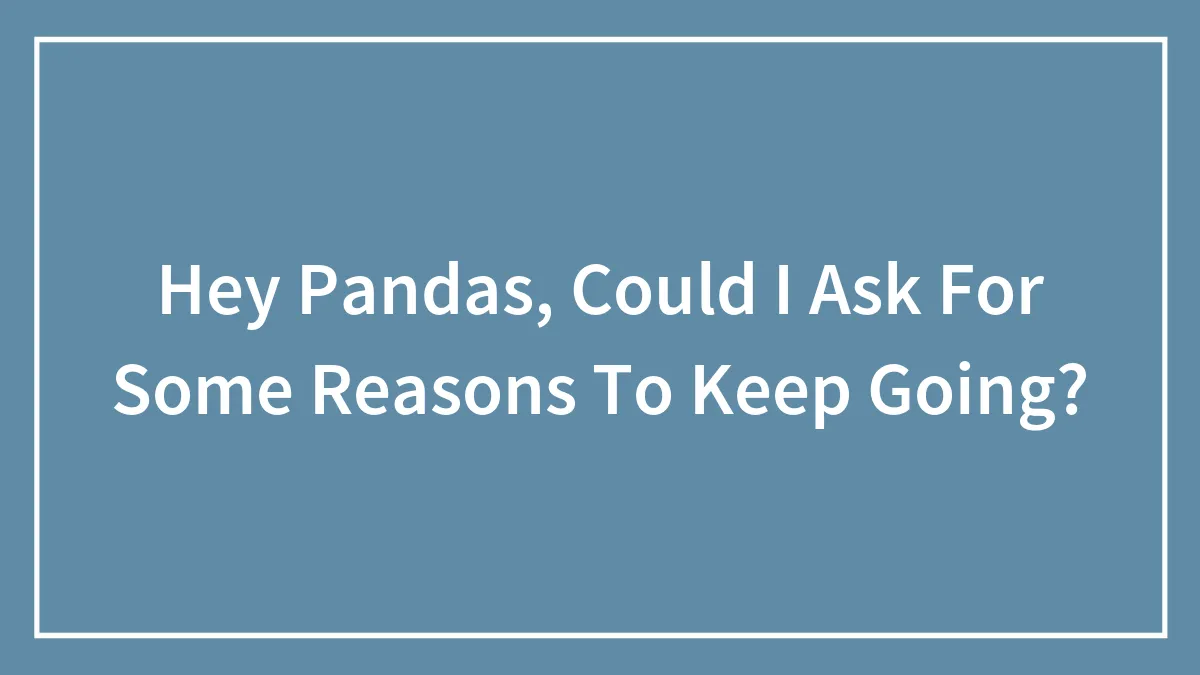 Hey Pandas, Could I Ask For Some Reasons To Keep Going?