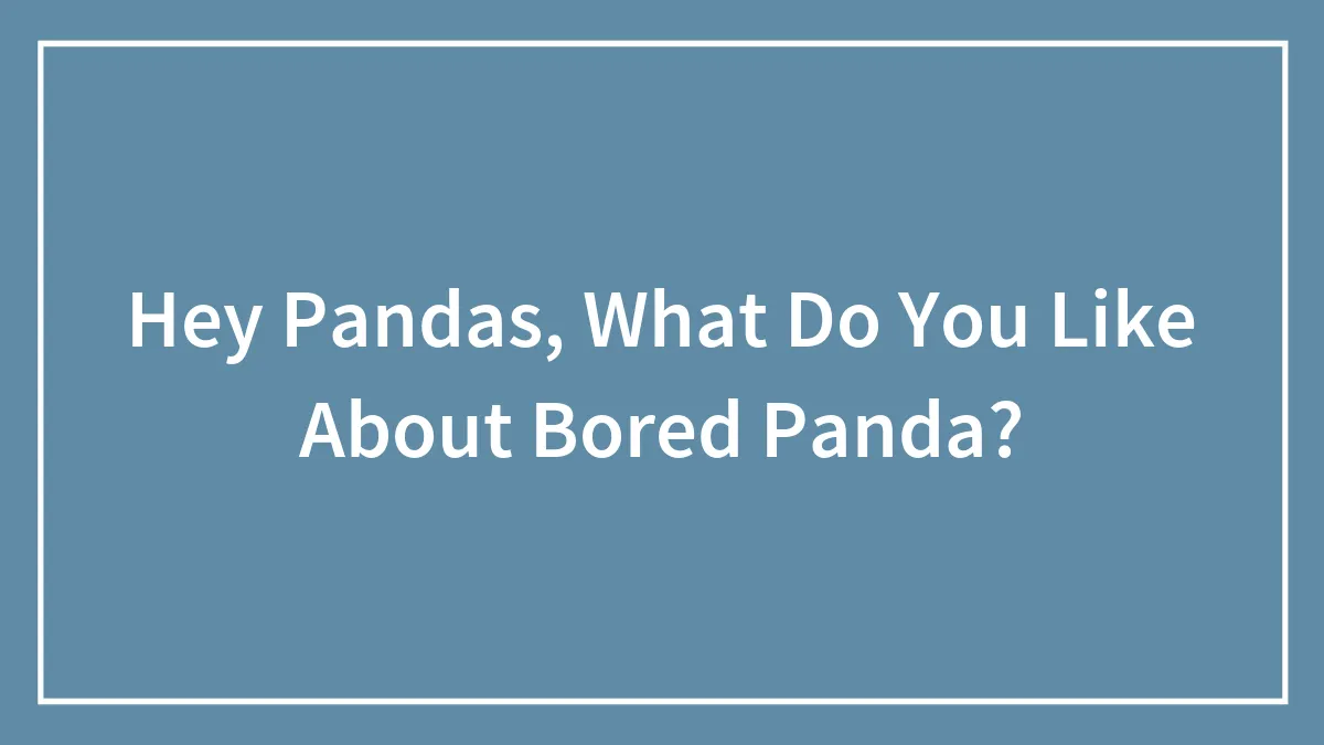Hey Pandas, What Do You Like About Bored Panda?