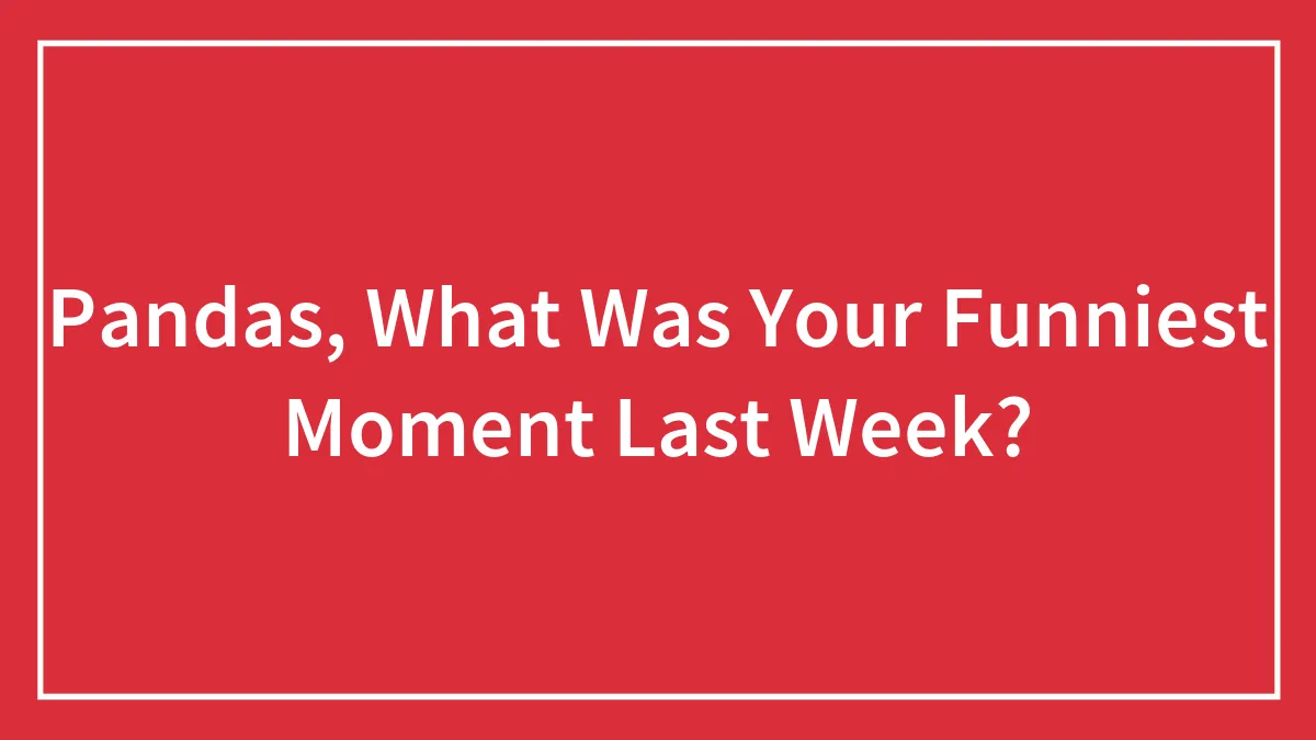 Pandas, What Was Your Funniest Moment Last Week?
