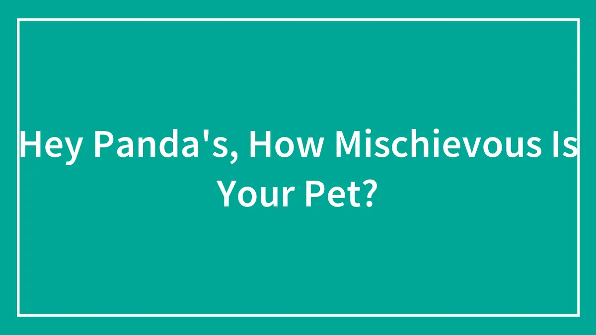 Hey Panda's, How Mischievous Is Your Pet?