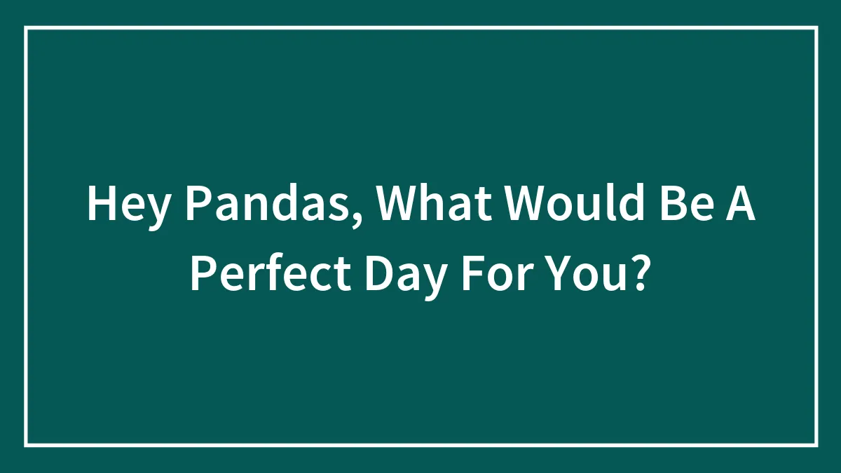 Hey Pandas, What Would Be A Perfect Day For You? (Closed)