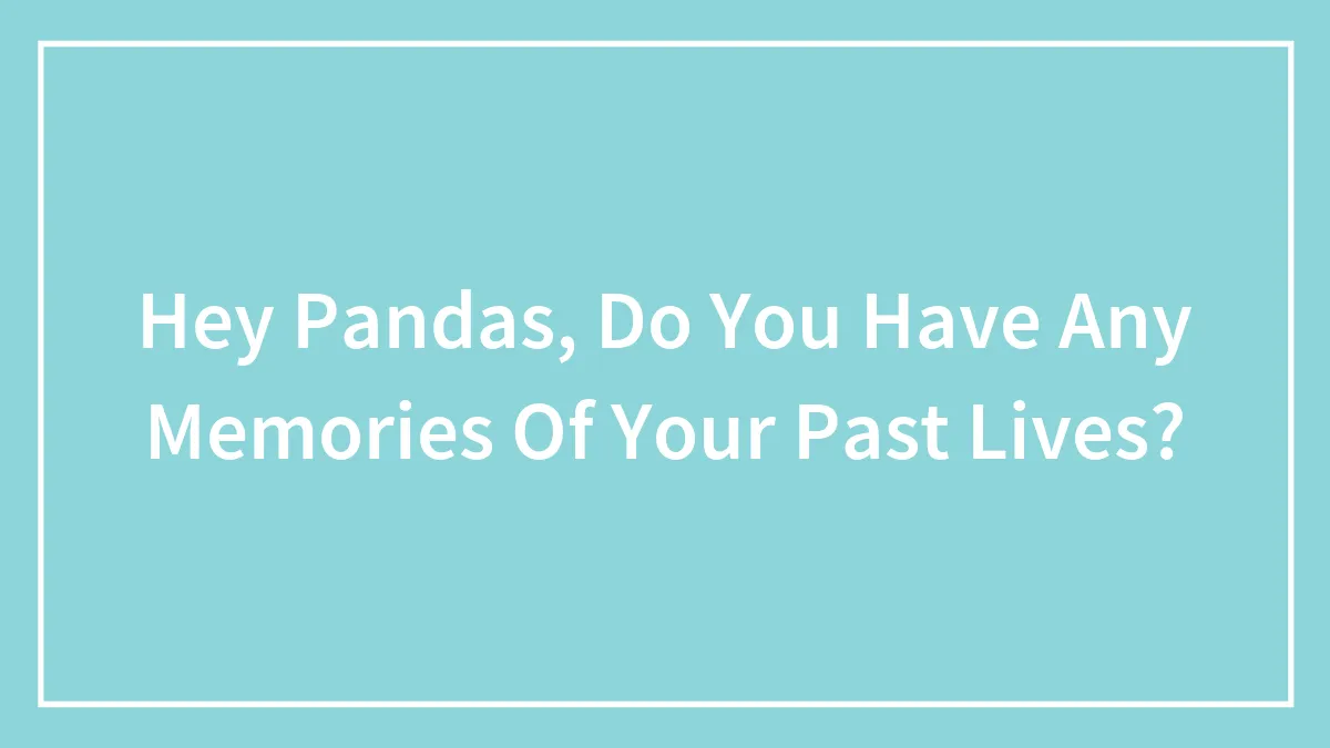 Hey Pandas, Do You Have Any Memories Of Your Past Lives?