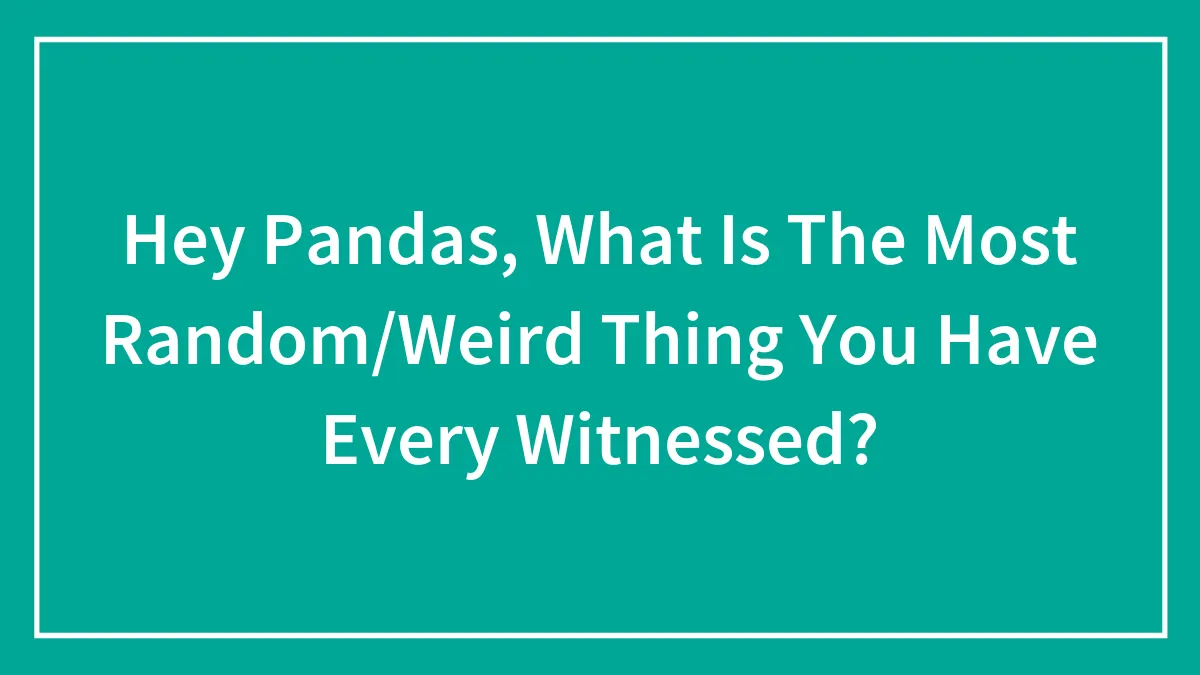Hey Pandas, What Is The Most Random/Weird Thing You Have Every Witnessed?