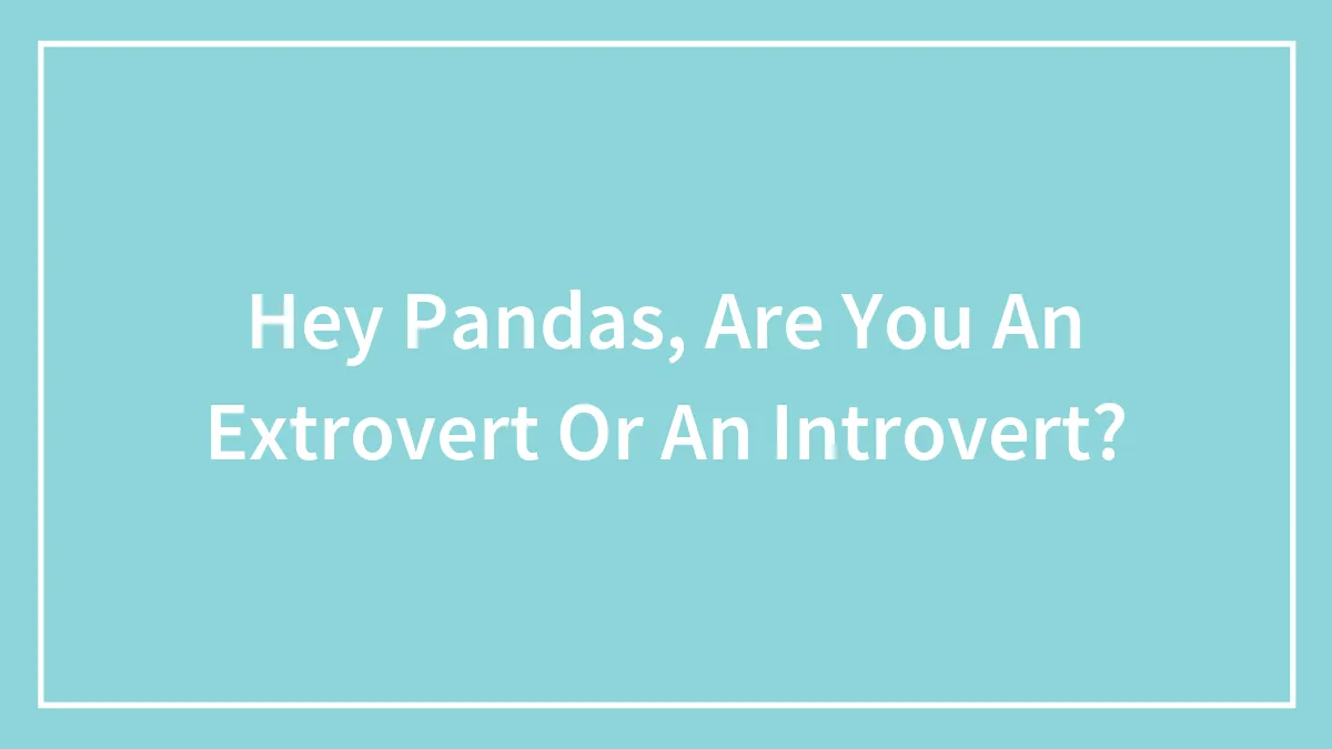 Hey Pandas, Are You An Extrovert Or An Introvert? (Closed)