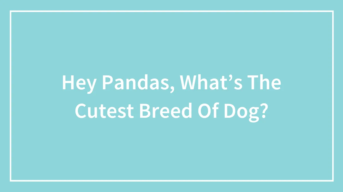 Hey Pandas, What’s The Cutest Breed Of Dog?
