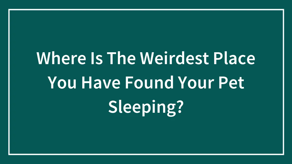 Where Is The Weirdest Place You Have Found Your Pet Sleeping?