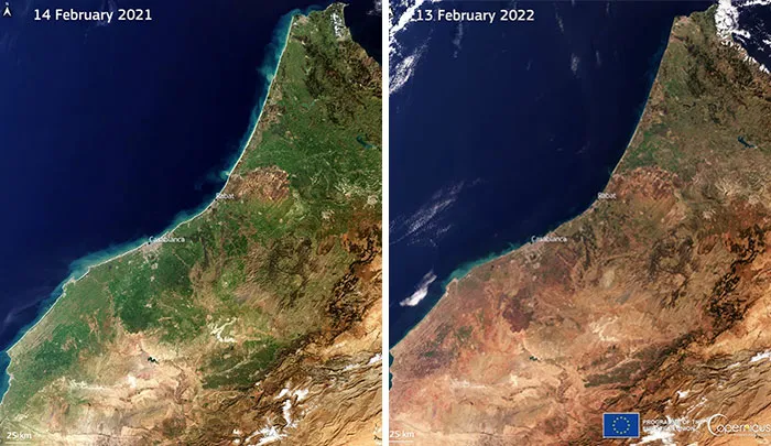 Marruecos sufre la peor sequía en décadas