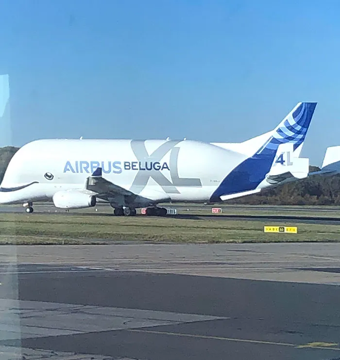 Este avión fue diseñado para parecer una ballena