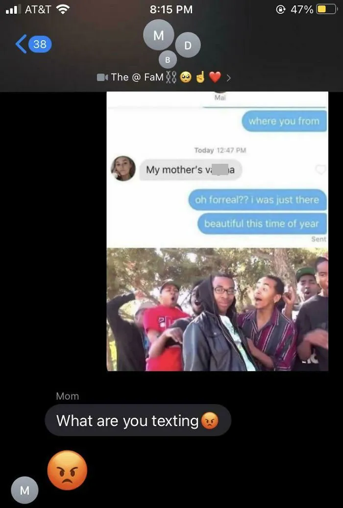 I Sent This Meme To The Wrong Group Chat... My Mother Was Not Amused