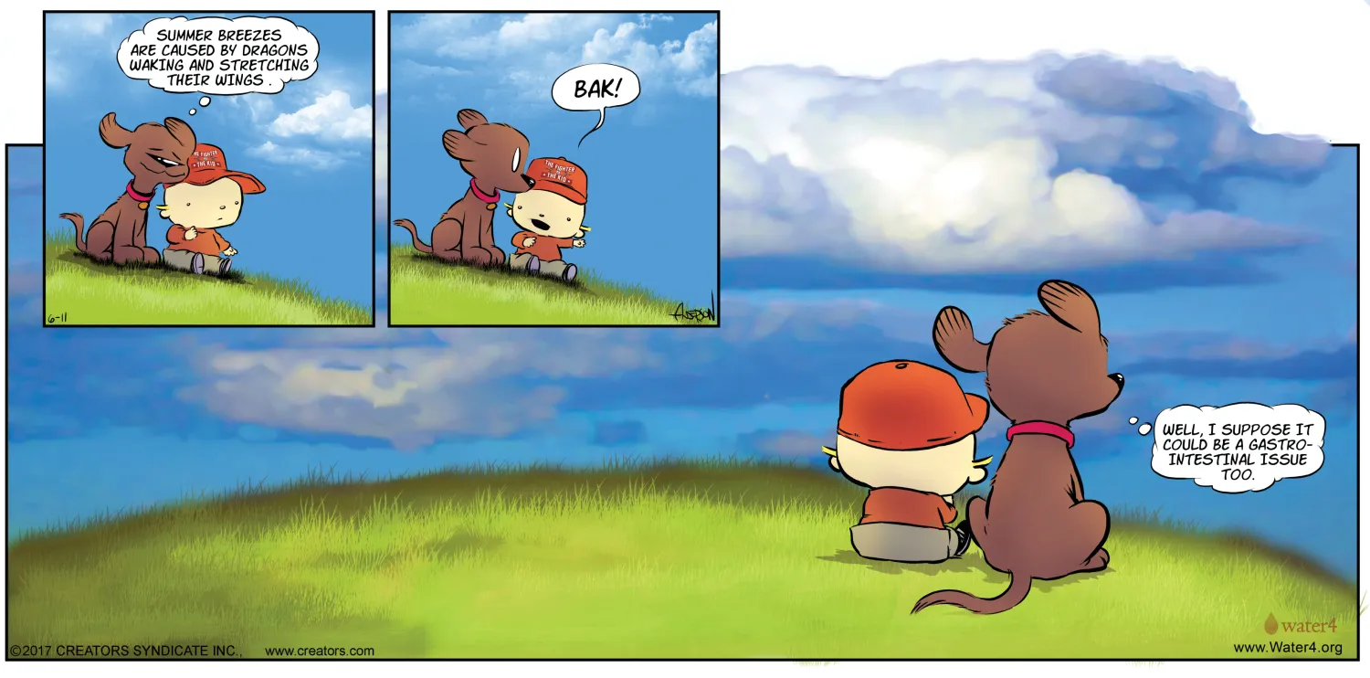 Chocolate Labs Are Not Weather Experts
