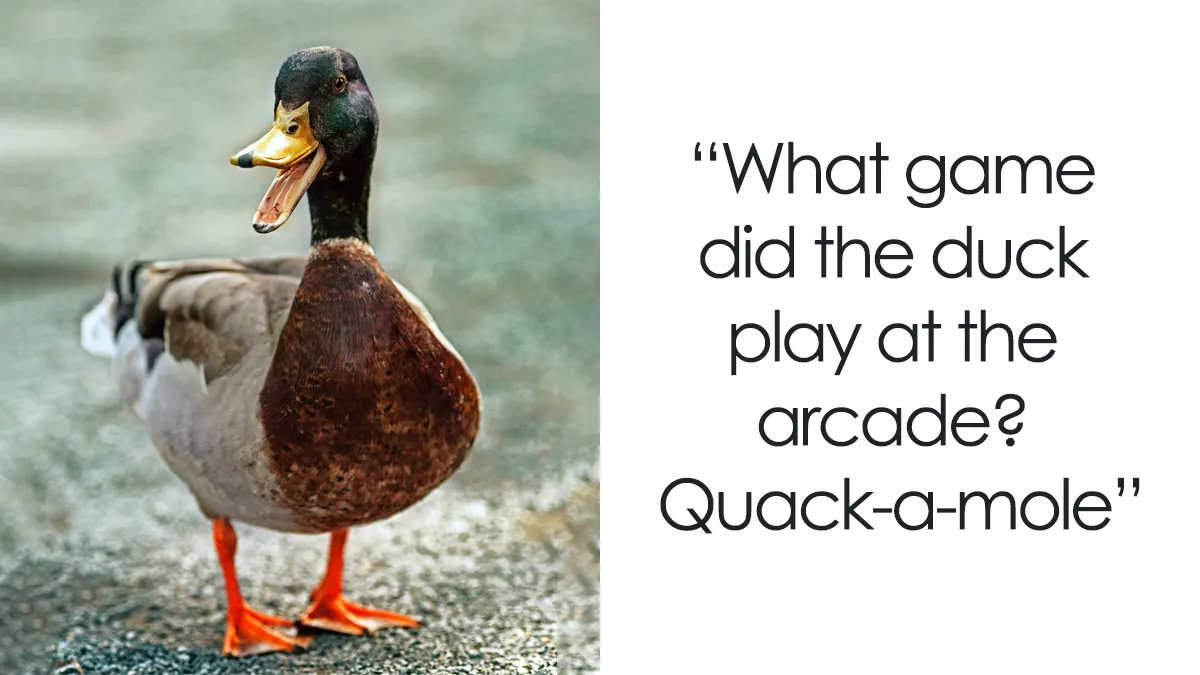 131 Duck Jokes That Might Just Quack You Up