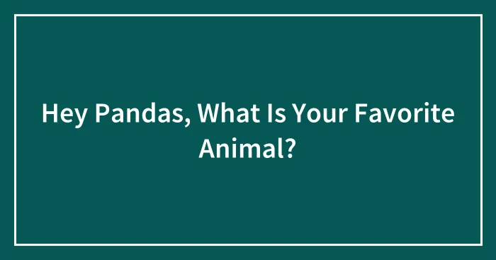 Hey Pandas, What Is Your Favorite Animal?