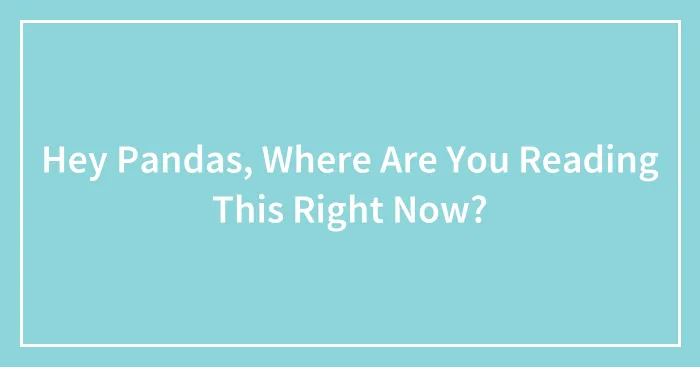 Hey Pandas, Where Are You Reading This Right Now?