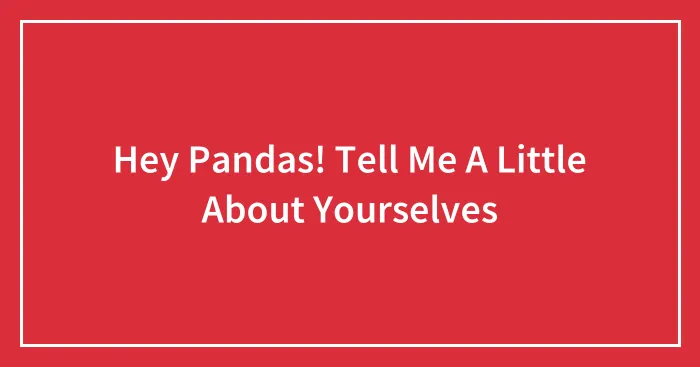 Hey Pandas! Tell Me A Little About Yourselves