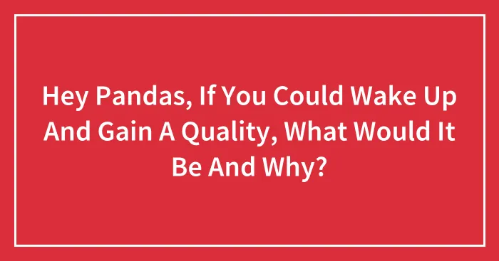 Hey Pandas, If You Could Wake Up And Gain A Quality, What Would It Be And Why?