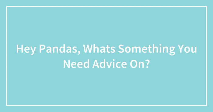 Hey Pandas, Whats Something You Need Advice On?