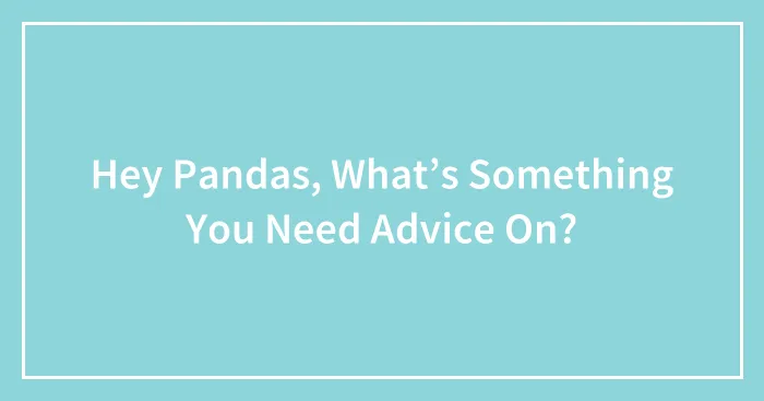 Hey Pandas, What’s Something You Need Advice On?