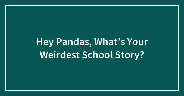 Hey Pandas, What’s Your Weirdest School Story?