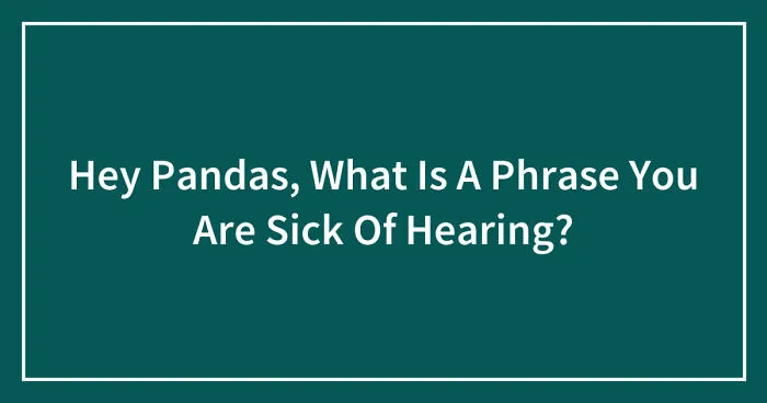 Hey Pandas, What Is A Phrase You Are Sick Of Hearing? (Closed)