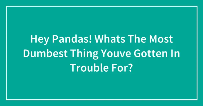 Hey Pandas! Whats The Most Dumbest Thing Youve Gotten In Trouble For?
