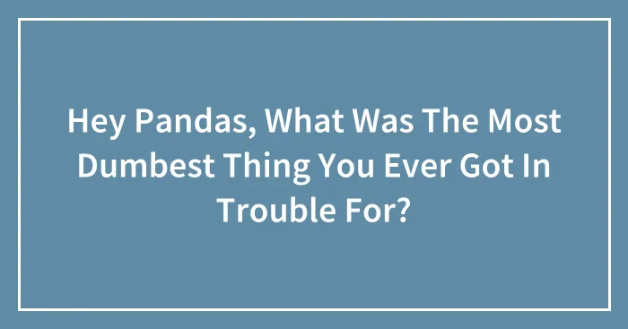 Hey Pandas, What Was The Most Dumbest Thing You Ever Got In Trouble For?