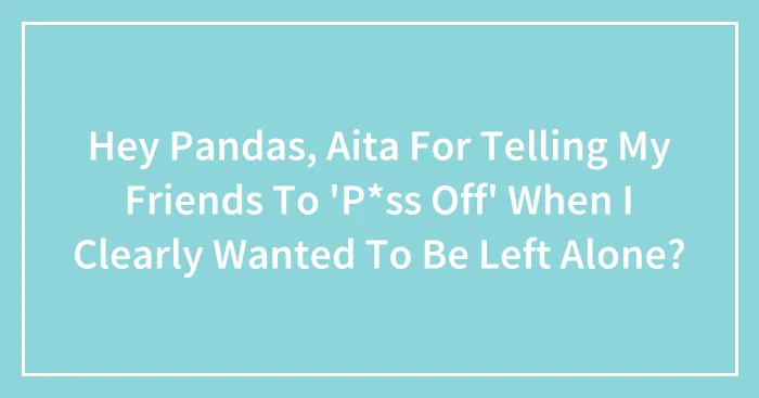 Hey Pandas, Aita For Telling My Friends To 'P*ss Off' When I Clearly Wanted To Be Left Alone?