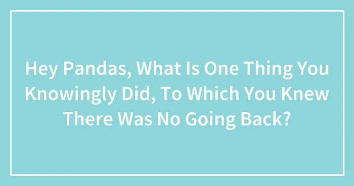 Hey Pandas, What Is One Thing You Knowingly Did, To Which You Knew There Was No Going Back? (Closed)