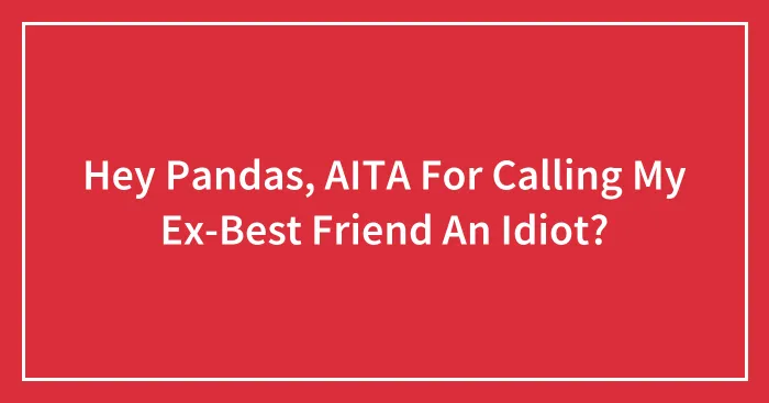Hey Pandas, AITA For Calling My Ex-Best Friend An Idiot? (Closed)