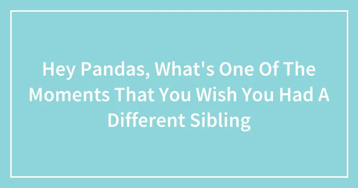 Hey Pandas, What's One Of The Moments That You Wish You Had A Different Sibling