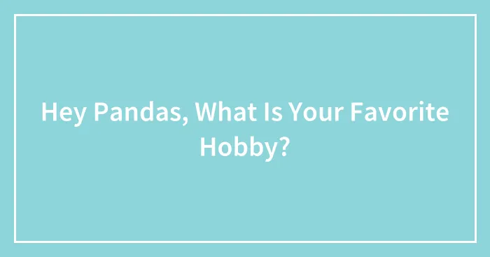 Hey Pandas, What Is Your Favorite Hobby?