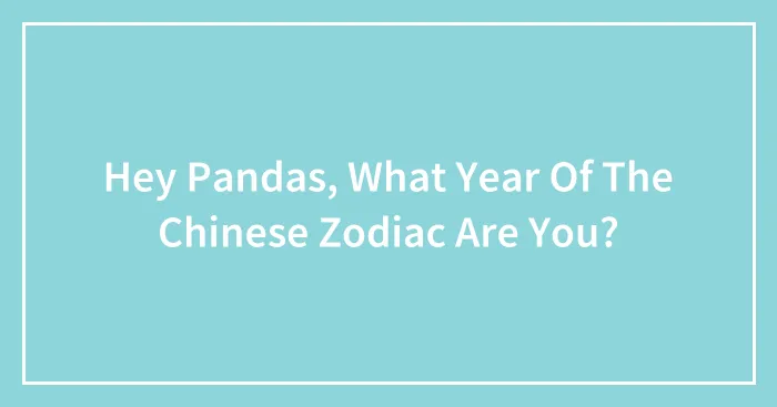 Hey Pandas, What Year Of The Chinese Zodiac Are You?