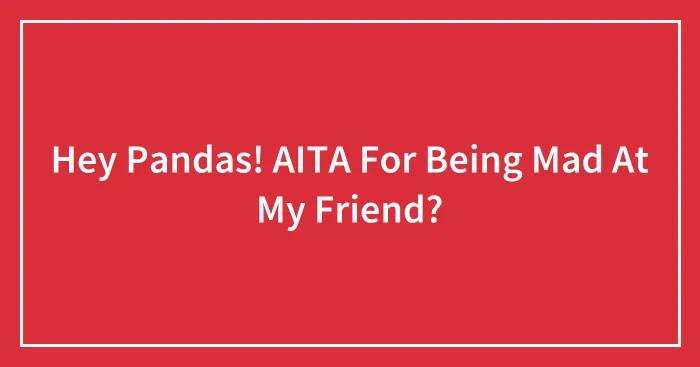 Hey Pandas! AITA For Being Mad At My Friend?