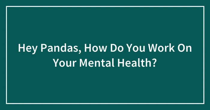 Hey Pandas, How Do You Work On Your Mental Health?