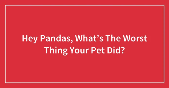 Hey Pandas, What’s The Worst Thing Your Pet Did?