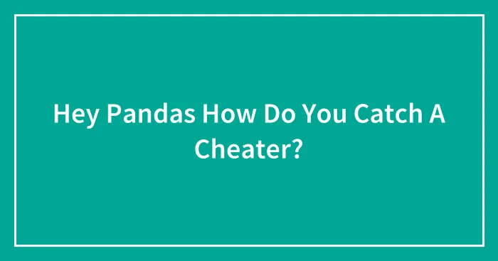 Hey Pandas How Do You Catch A Cheater?