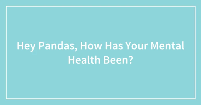 Hey Pandas, How Has Your Mental Health Been?