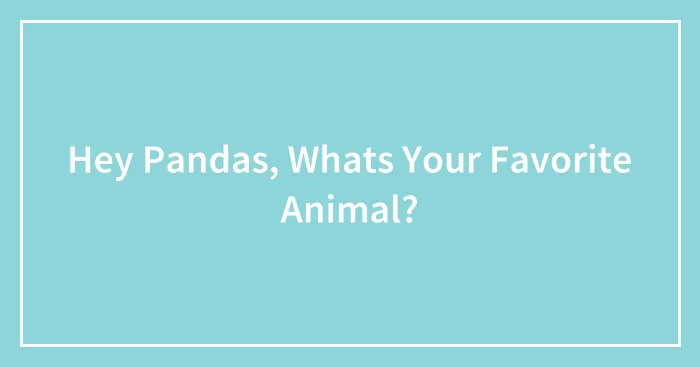 Hey Pandas, Whats Your Favorite Animal?