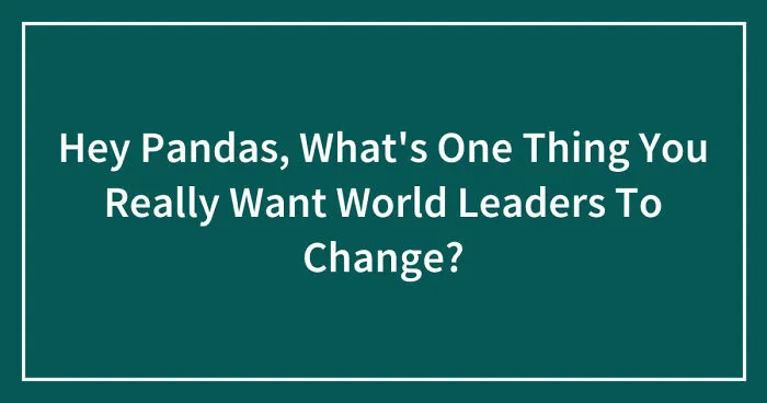 Hey Pandas, What's One Thing You Really Want World Leaders To Change? (Closed)