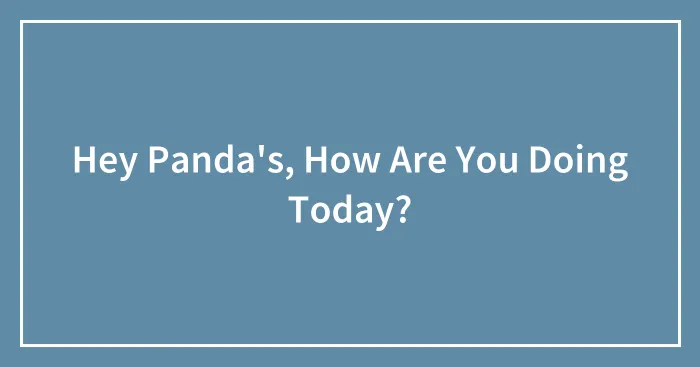 Hey Panda's, How Are You Doing Today?