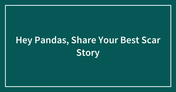 Hey Pandas, Share Your Best Scar Story