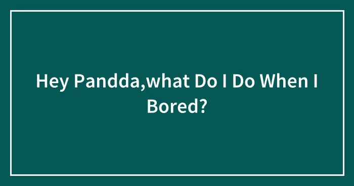 Hey Pandda,what Do I Do When I Bored?